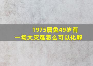 1975属兔49岁有一场大灾难怎么可以化解