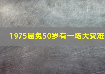 1975属兔50岁有一场大灾难