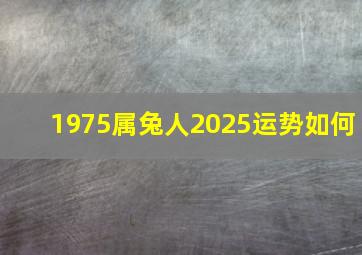 1975属兔人2025运势如何