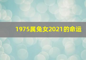 1975属兔女2021的命运