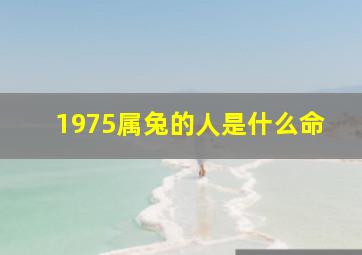 1975属兔的人是什么命