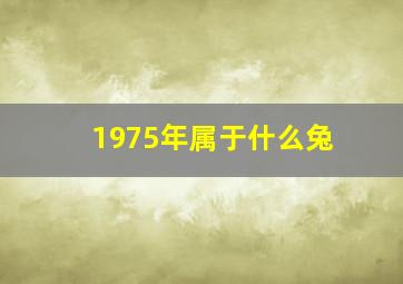 1975年属于什么兔