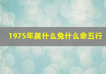 1975年属什么兔什么命五行