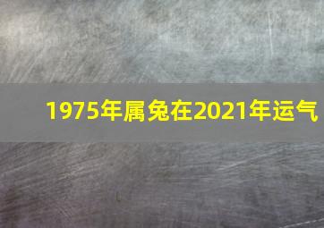 1975年属兔在2021年运气