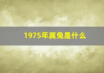 1975年属兔是什么