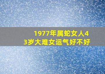 1977年属蛇女人43岁大难女运气好不好