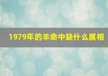 1979年的羊命中缺什么属相