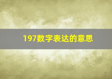 197数字表达的意思