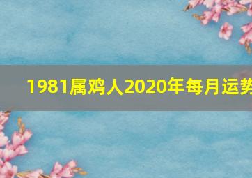 1981属鸡人2020年每月运势