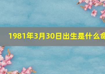 1981年3月30日出生是什么命