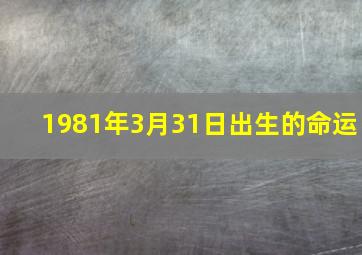 1981年3月31日出生的命运