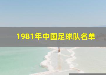 1981年中国足球队名单