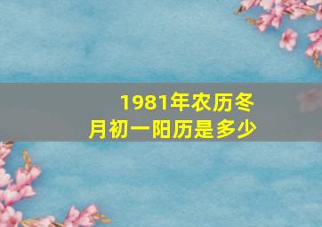 1981年农历冬月初一阳历是多少