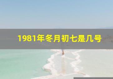 1981年冬月初七是几号