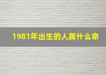 1981年出生的人属什么命