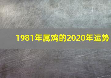 1981年属鸡的2020年运势