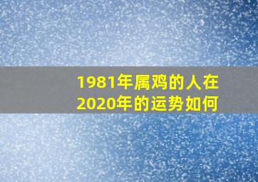 1981年属鸡的人在2020年的运势如何