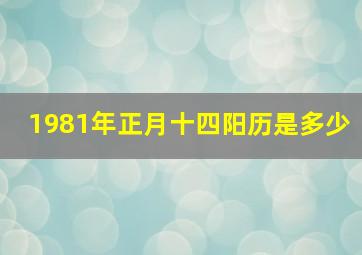 1981年正月十四阳历是多少