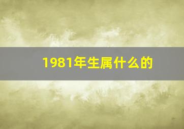 1981年生属什么的