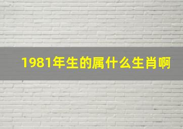 1981年生的属什么生肖啊