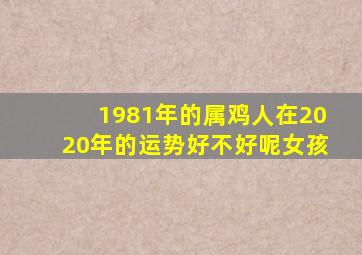 1981年的属鸡人在2020年的运势好不好呢女孩