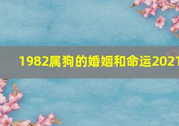 1982属狗的婚姻和命运2021