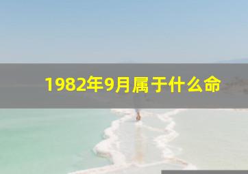 1982年9月属于什么命