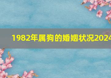 1982年属狗的婚姻状况2024