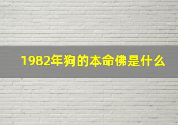 1982年狗的本命佛是什么