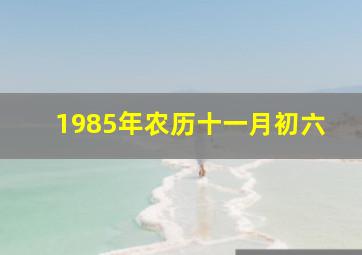 1985年农历十一月初六