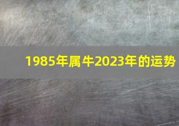 1985年属牛2023年的运势