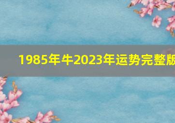 1985年牛2023年运势完整版