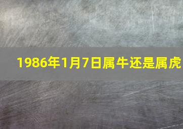 1986年1月7日属牛还是属虎