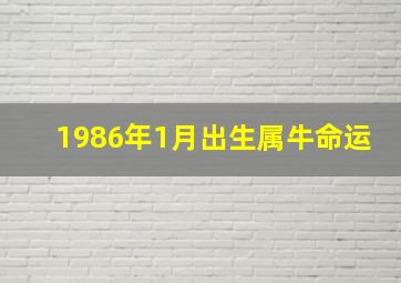 1986年1月出生属牛命运