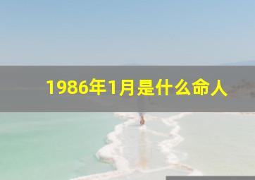 1986年1月是什么命人