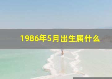 1986年5月出生属什么