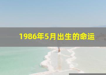 1986年5月出生的命运