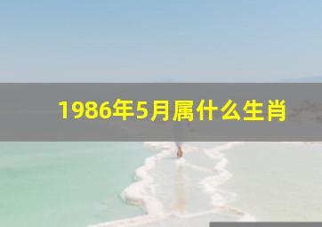 1986年5月属什么生肖