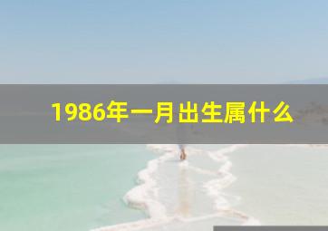 1986年一月出生属什么