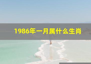 1986年一月属什么生肖