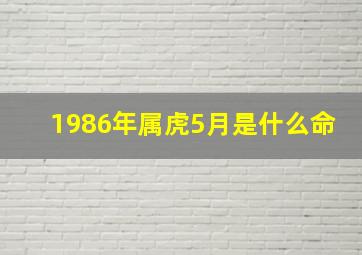 1986年属虎5月是什么命