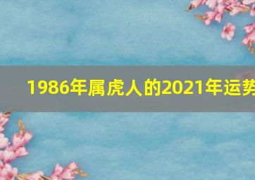 1986年属虎人的2021年运势