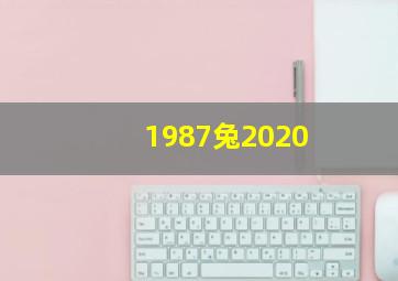 1987兔2020