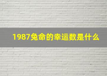 1987兔命的幸运数是什么