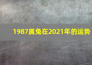 1987属兔在2021年的运势