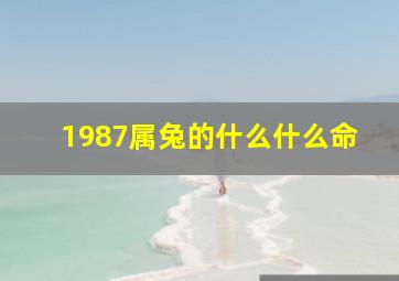 1987属兔的什么什么命