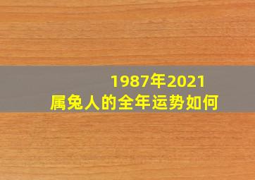 1987年2021属兔人的全年运势如何