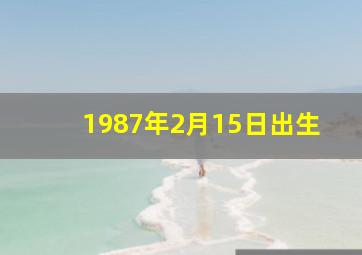 1987年2月15日出生