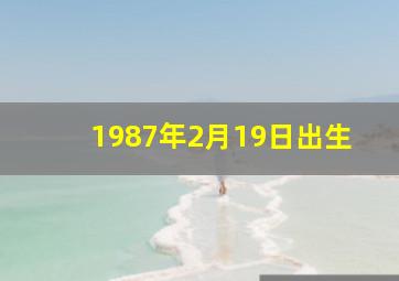 1987年2月19日出生