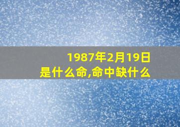 1987年2月19日是什么命,命中缺什么